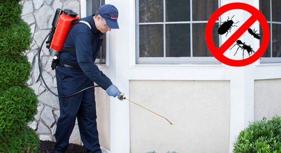 Aydın Kene İlaçlama böcek ilaçlama ve haşere kontrolü — ilaclama-tr.com